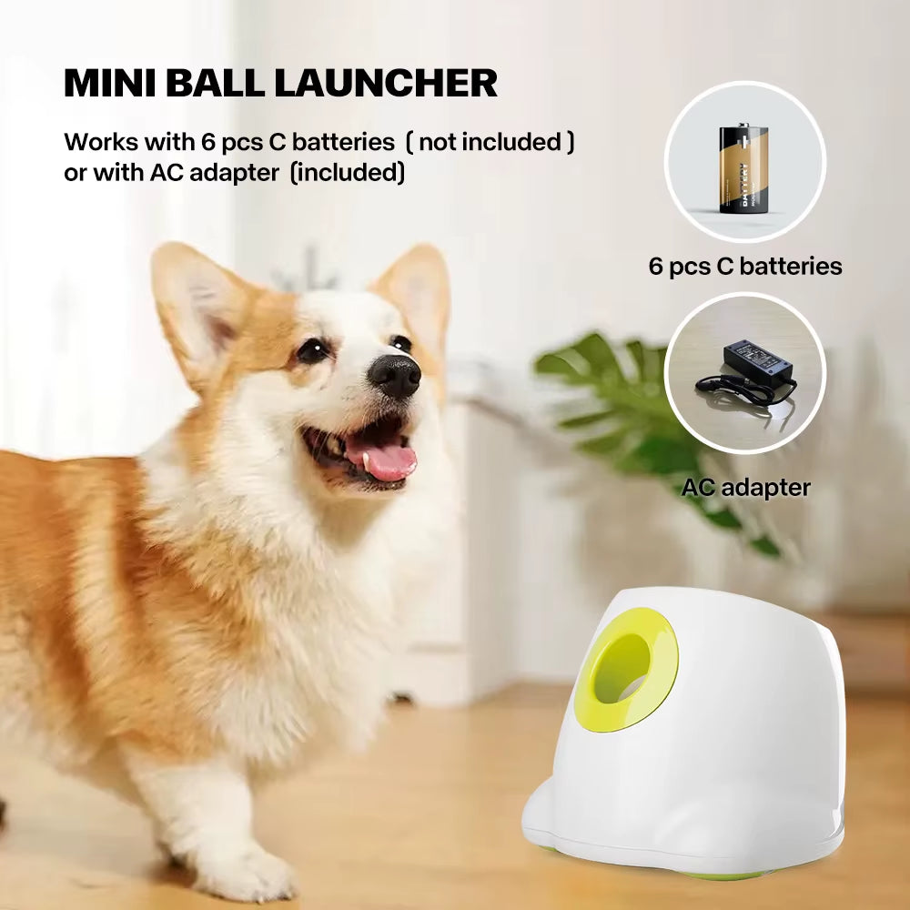 All for Paws Automatic Thrower Ball Launcher for Dogs Interactive Toys Automatic Indoor Game Electric Dog Toy with Tennis Balls