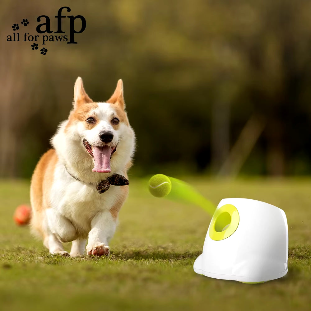 All for Paws Automatic Thrower Ball Launcher for Dogs Interactive Toys Automatic Indoor Game Electric Dog Toy with Tennis Balls