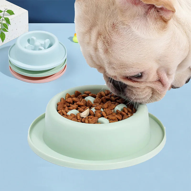 Pet Cat Dog Slow Food Bowl Fat Help Healthy round Anti-Choking Thickened and Non-Slip Multiple Colors Shapes