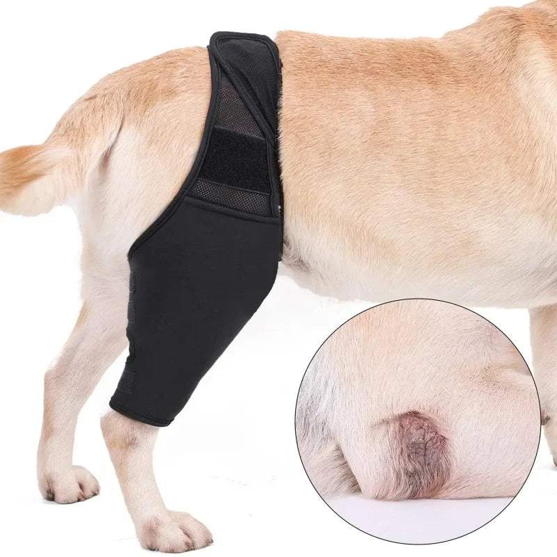 Pets Dog Knee Brace for Luxating Patella Adjustable Knee Brace Leg Support for Dogs Back Leg Dog Elbow Brace Knee Immobilizer